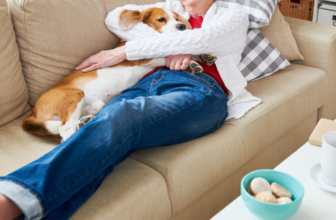 Best Small Dog Breeds for Seniors